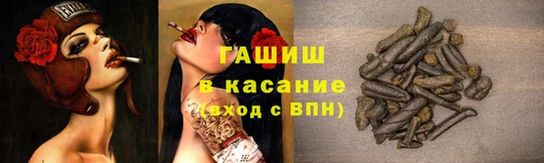 хмурый Ельня