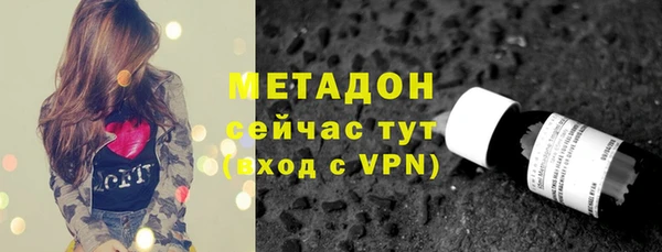 хмурый Ельня