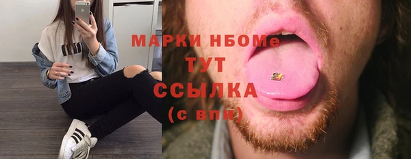 хмурый Ельня