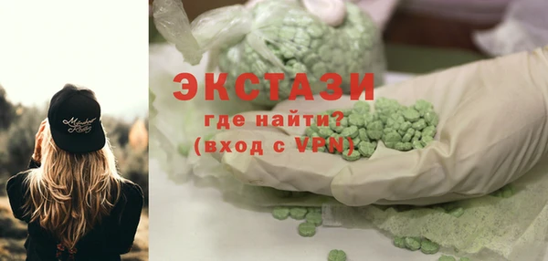хмурый Ельня