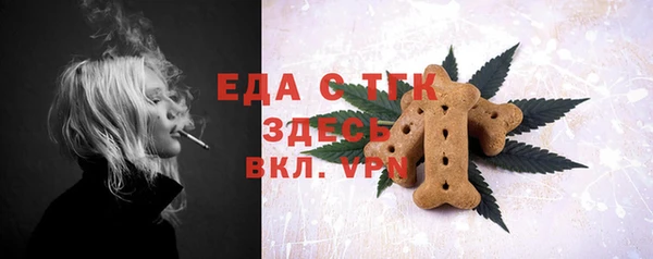 хмурый Ельня