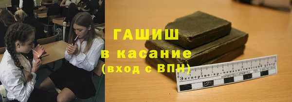 хмурый Ельня