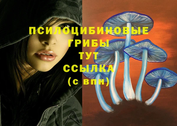 хмурый Ельня