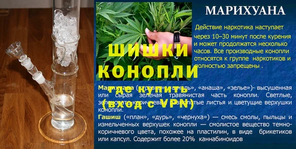хмурый Ельня