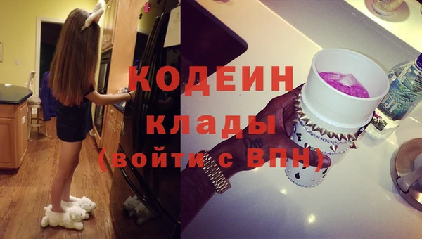 хмурый Ельня