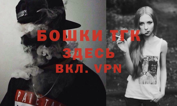 хмурый Ельня