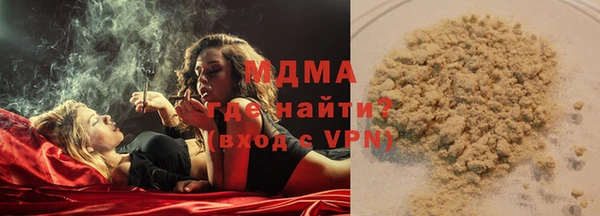хмурый Ельня