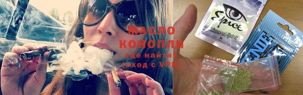 хмурый Ельня