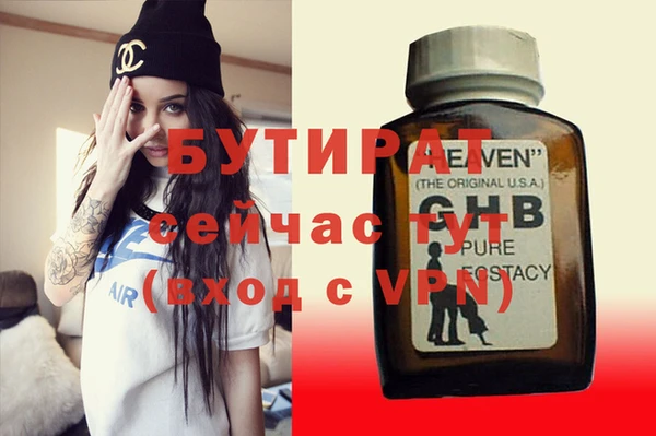 хмурый Ельня