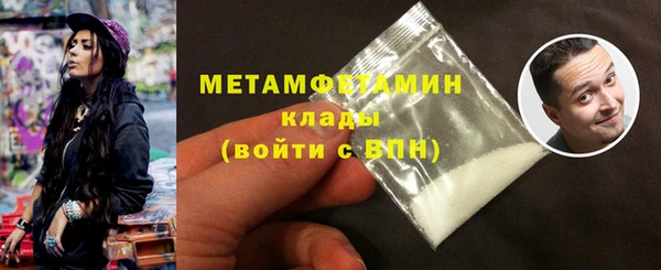 хмурый Ельня
