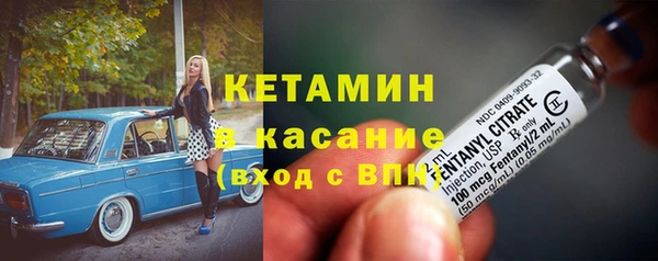 хмурый Ельня