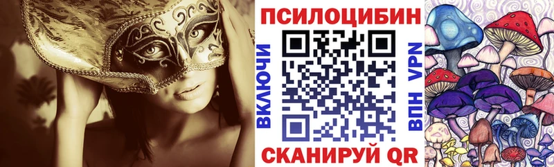 наркотики  Новый Уренгой  Псилоцибиновые грибы MAGIC MUSHROOMS 